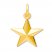 Star Charm 14K Yellow Gold