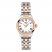 Tissot Classic Dream Women's Watch T1292102201300