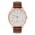 Bering Automatic Men's Watch 16243-564