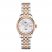 Tissot T-Classic Le Locle Women's Watch