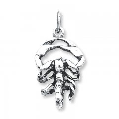 Scorpio Charm Sterling Silver