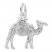 Camel Charm Sterling Silver