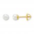 Cultured Pearl Earrings 14K Yellow Gold