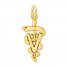 Veterinarian Symbol Charm 14K Yellow Gold