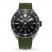 Alpina Seastrong Diver 300 Automatic Watch AL-525LGG4V6