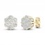 Diamond Fashion Earrings 1/5 ct tw Round-cut 10K Yellow Gold