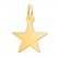 Star Charm 14K Yellow Gold