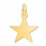 Star Charm 14K Yellow Gold